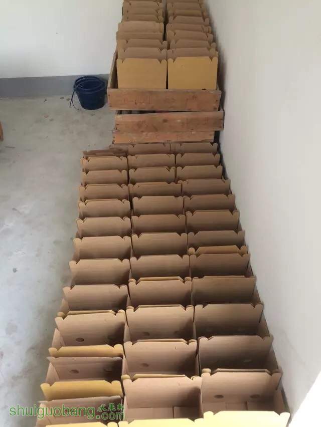 170004clawax8di83a80a8.jpg
