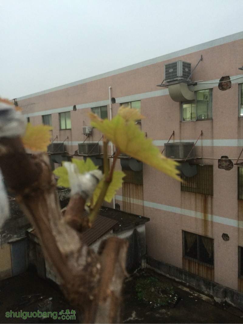180133a9lttl1od3gz39ig.jpg