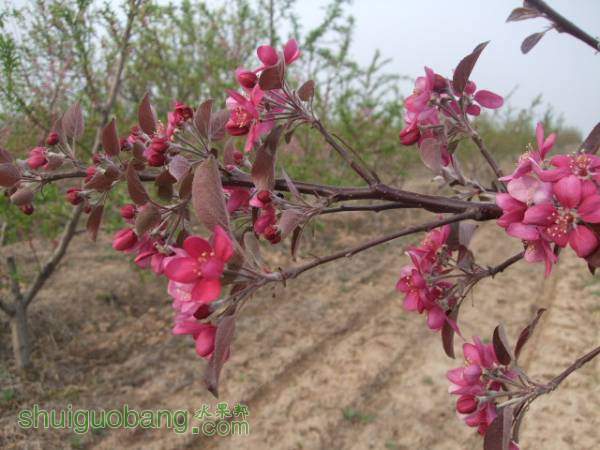 2015413պɫ֮״ 004.jpg