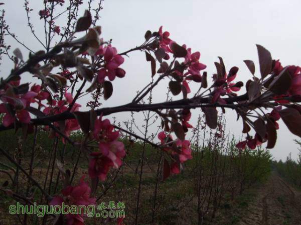 2015413պɫ֮״ 003.jpg