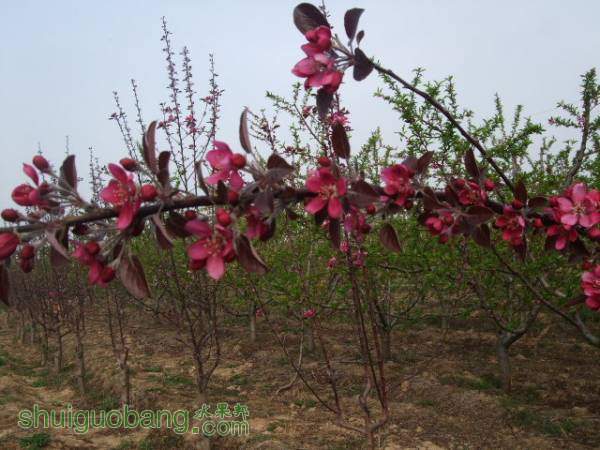 2015413պɫ֮״ 006.jpg