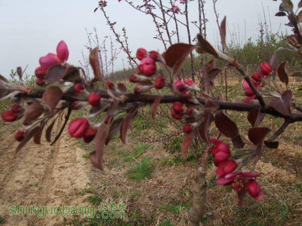 2015413պɫ֮״ 005.jpg