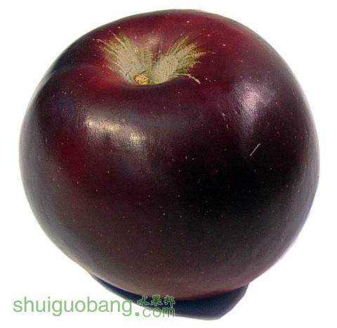 arkansasblackapple.jpg
