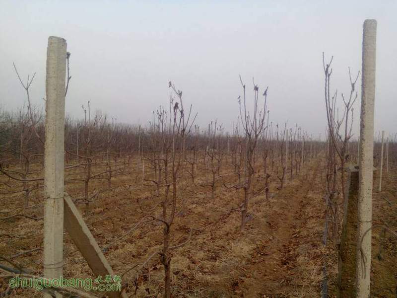 054002kw9za33wz3x2h43e.jpg