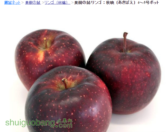 QQ��ͼ20160118075952.png