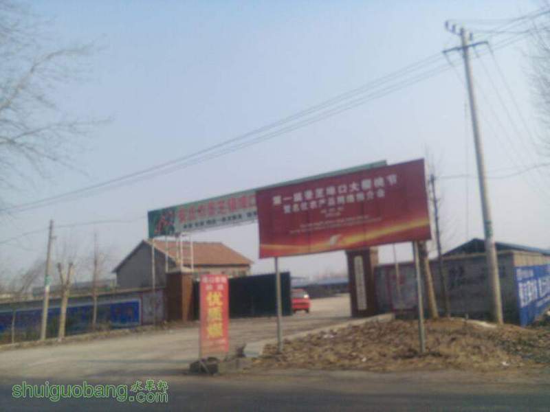 135216nhttnsgkpn1yz7sa.jpg
