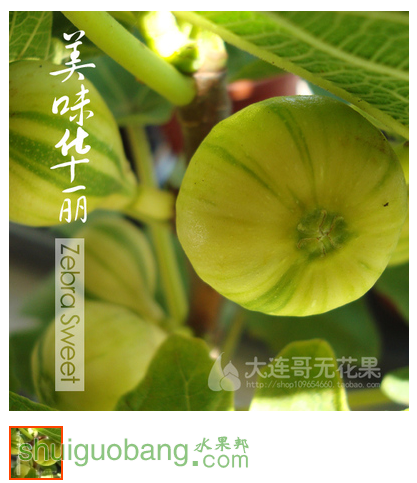 QQͼƬ20160120145440.png