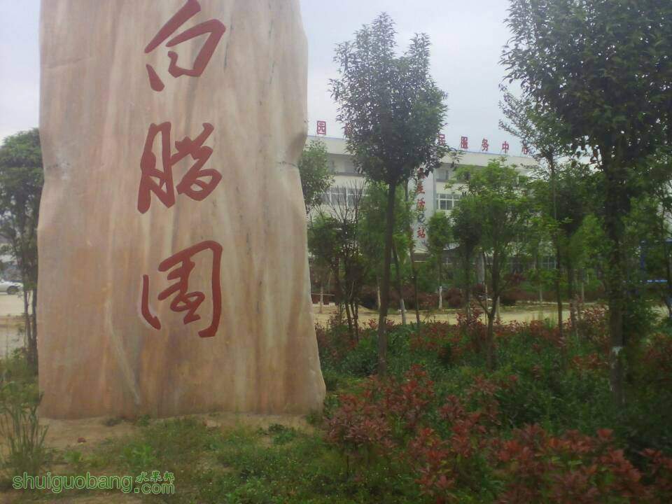 175433j664vr44vf4ccrzr.jpg