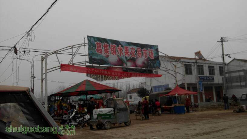175435t12riayoa22ohard.jpg