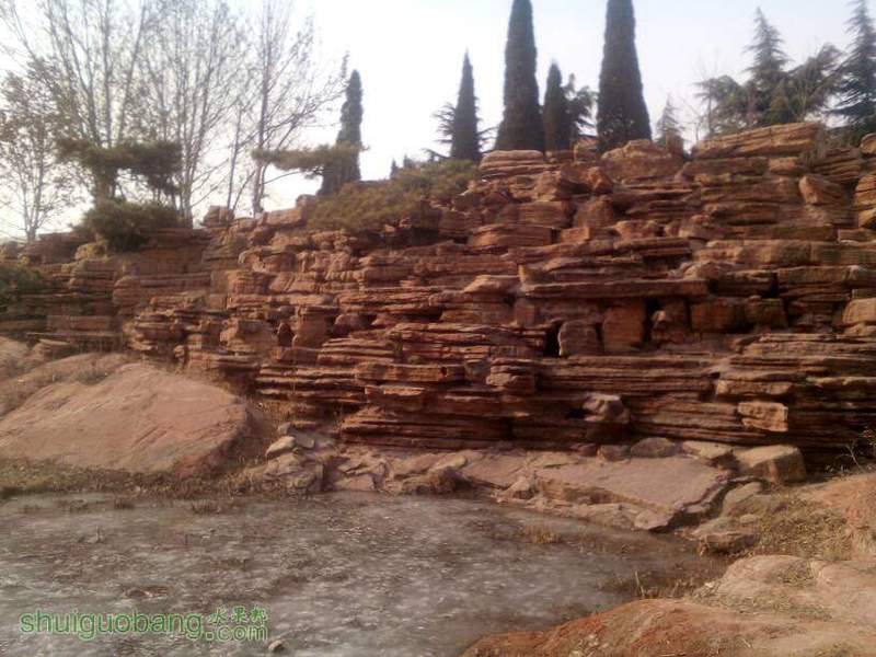 180044tiggidrlyb10ovbd.jpg