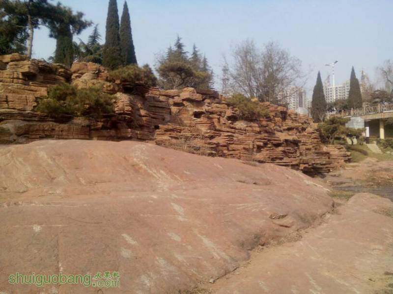 180046sjk7kg1gqlo0mgnp.jpg