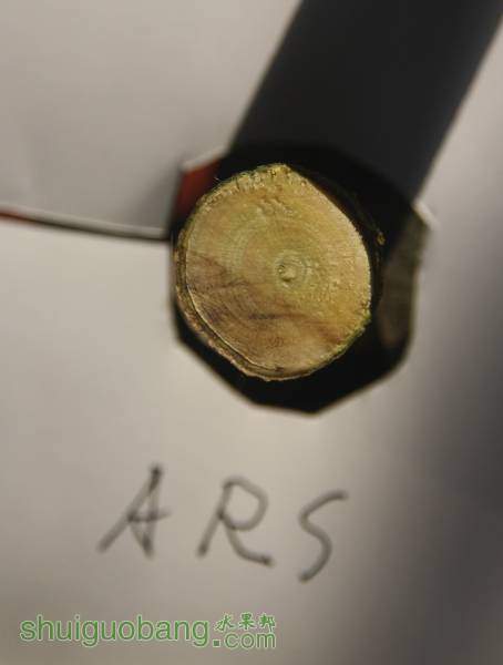 ARS