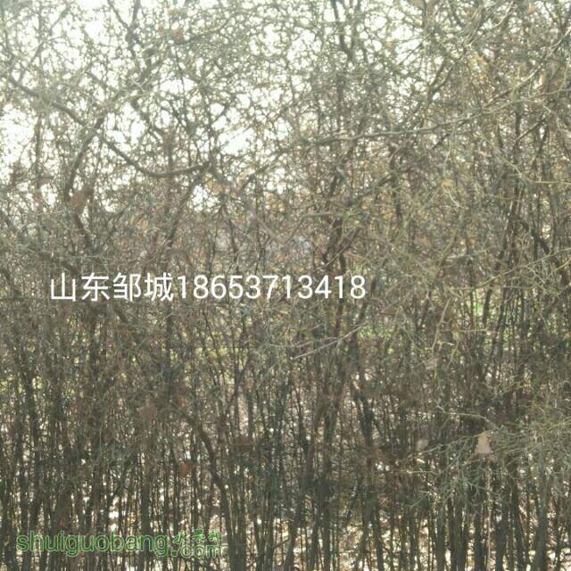 181118vqmumh54lhilm06u.jpg