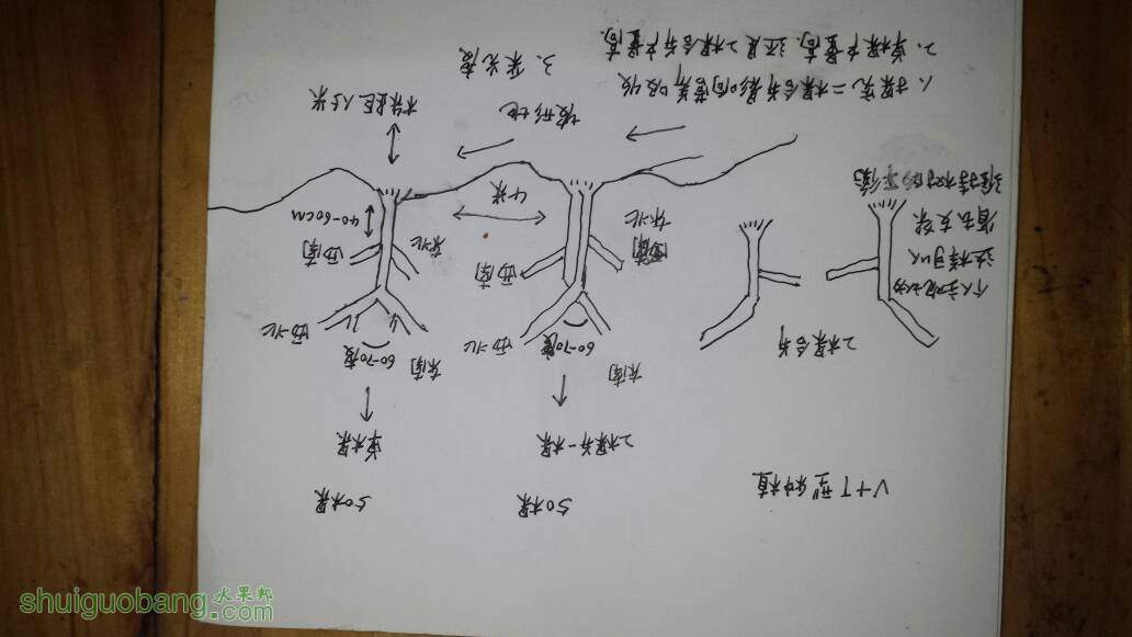 030811h4b43x3fch4rj44o.jpg