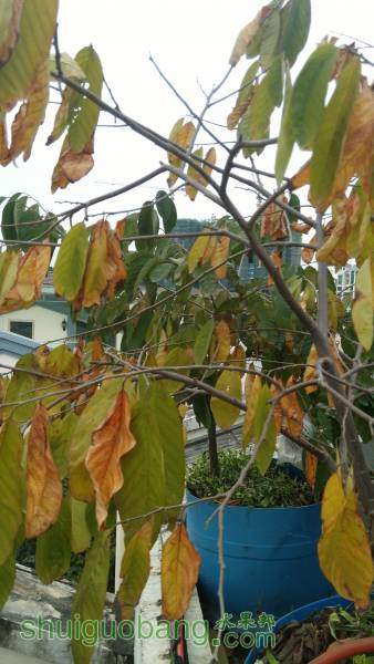 IMG_20160126_075221.jpg