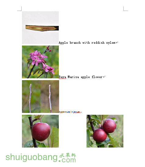 5.png