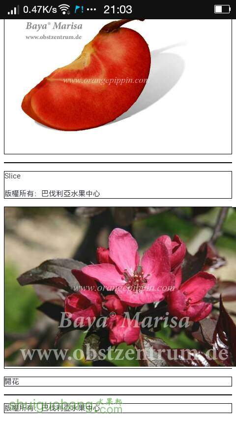 212810b3c1gzdgplmdl54b.png