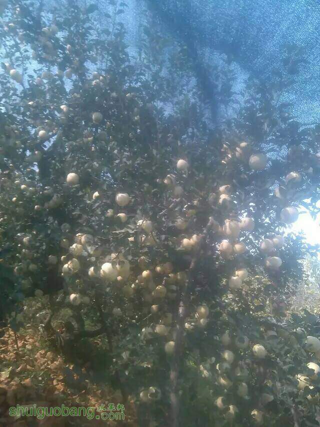 034143rj9z2jwj0xvvvwjg.jpeg