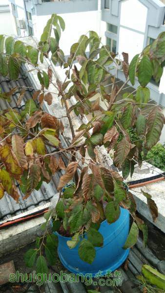 IMG_20160131_083104.jpg