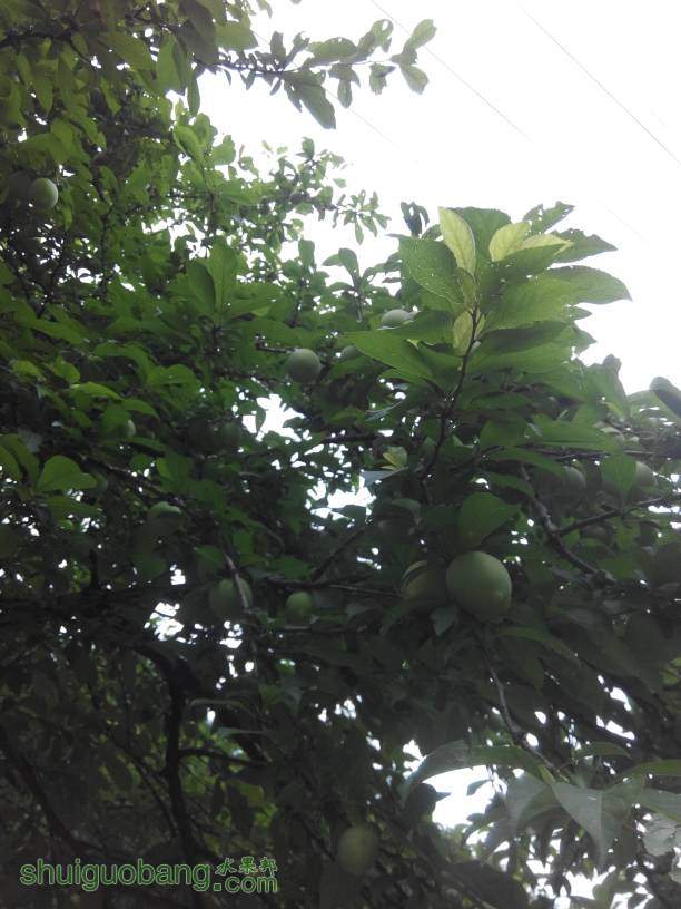 233012dnd6d1n2ncgbd1db.jpg