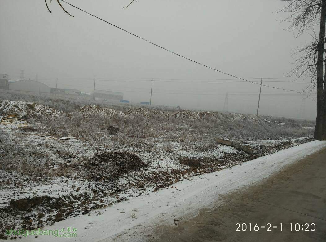 111120hrl5xzi5v59b1cr9.jpg