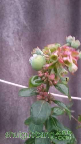 20160128_182609.jpg
