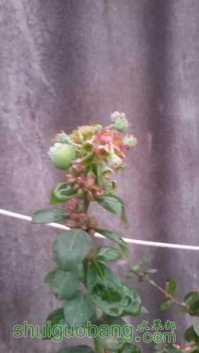 20160128_182555.jpg