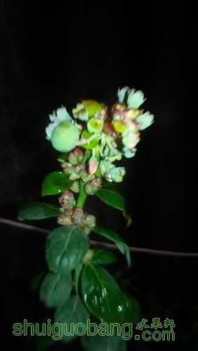 20160128_182534.jpg