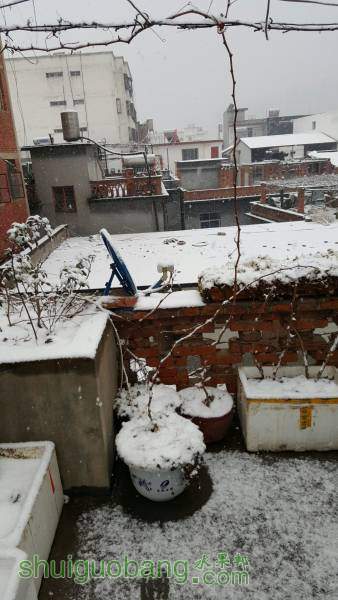 QQͼƬ20160202100316.jpg