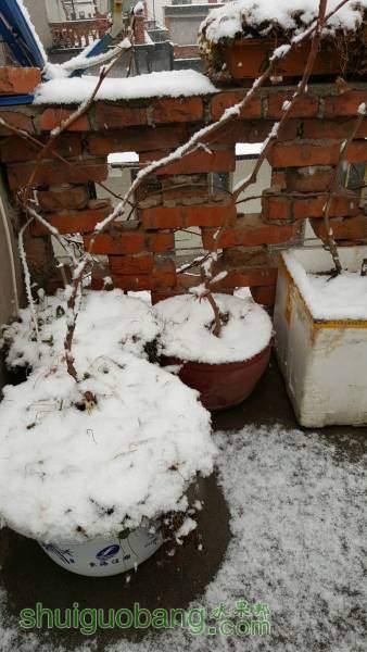 QQͼƬ20160202100340.jpg