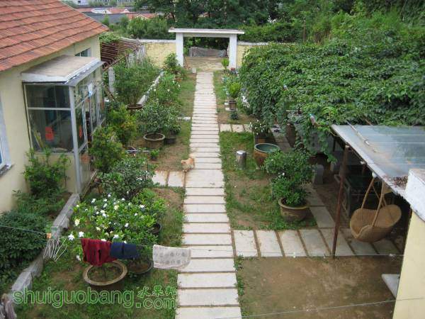 Ƭ 036.jpg