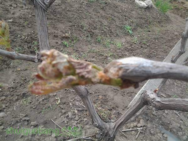 20150408_142233 - .jpg