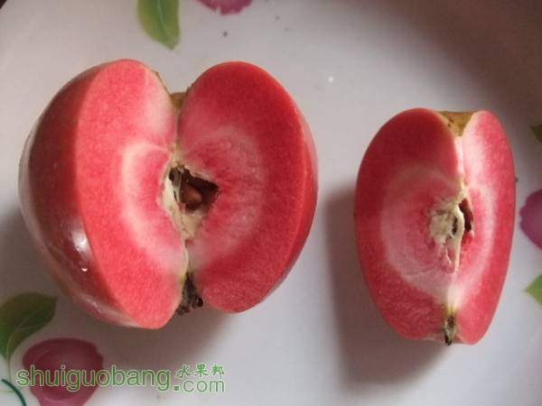 9��29�պ�ɫ֮�� 004.jpg