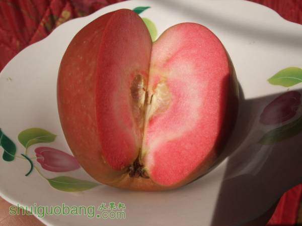 117��119 008.jpg