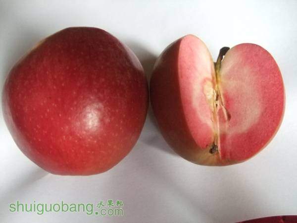 117��119 013.jpg