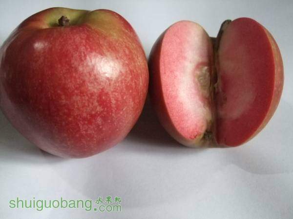 117��119 011.jpg