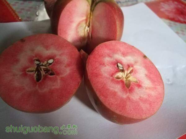 117��119 014.jpg