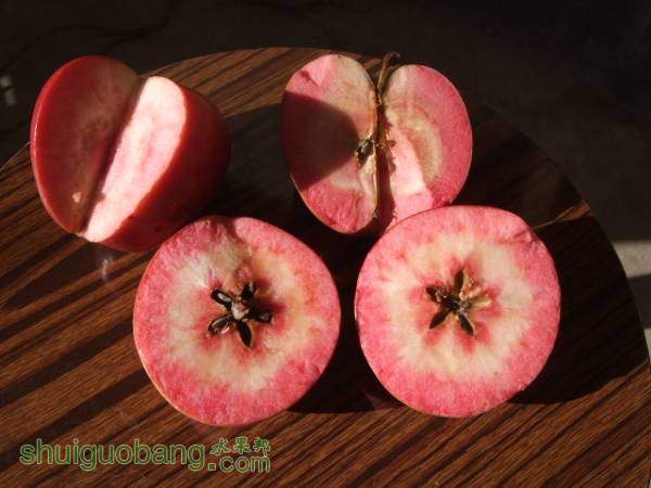 117��119 020.jpg