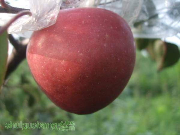 ��ɫ֮������Ȼũ�� 010.jpg