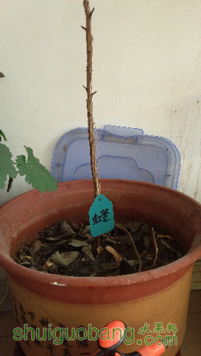 20160210_092444.jpg