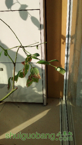 20160210_092422.jpg