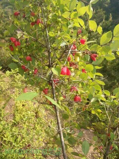 094313j3wr7a75wk5tw4p5.jpeg