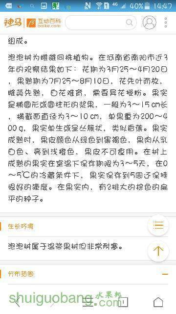 150101ys7sbhs3b3bx9sqr.png