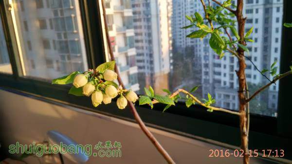 IMG_20160215_171310_HDR.jpg