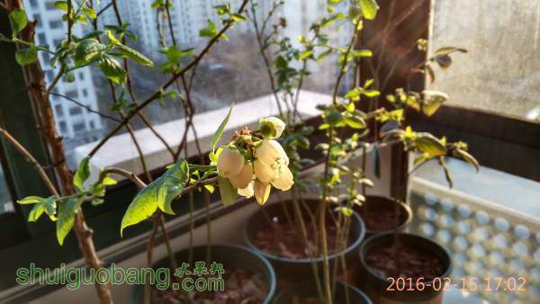 IMG_20160215_170237_HDR.jpg