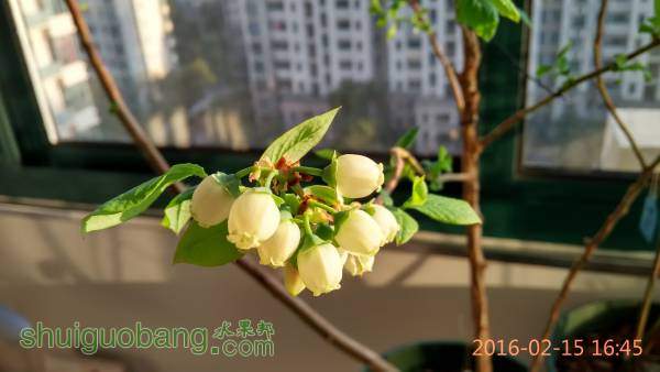 IMG_20160215_164559_HDR.jpg