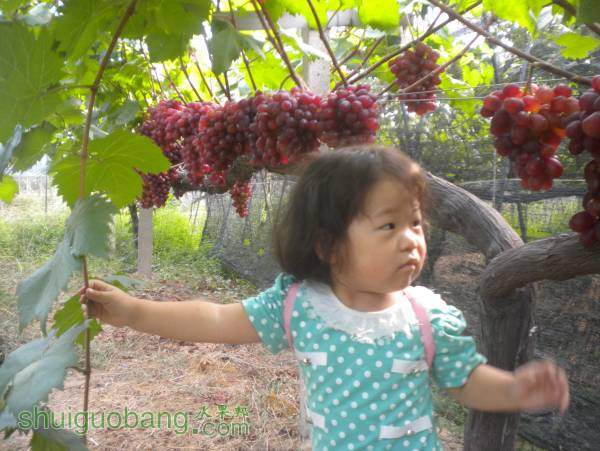 DSCN4421.JPG