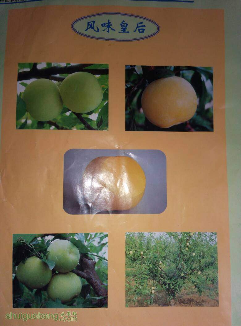 224020qpzovqlcvcbuqauc.jpg