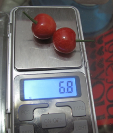 QQͼƬ20160222145534.png