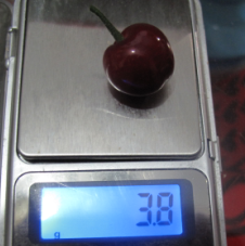 QQͼƬ20160222145458.png